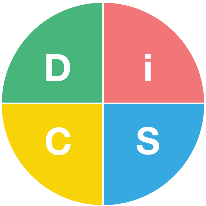 Model of DISC