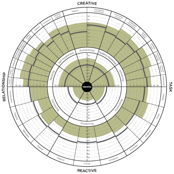 Leadership Circle Profile